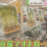 [サントマト]豆苗まで乾燥してる…ドライフルーツで溢れた不思議なスーパー｜鳥取県三朝町