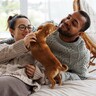 犬が『飼い主の休日』にする行動4つ　愛犬には休みの概念があるの？どうやって理解してる？