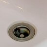 劣化するかも…。「洗面台の排水口」の臭いや詰まりの原因になる“3つのNG習慣”