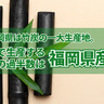 福岡県は竹炭の一大生産地。国内で生産する竹炭の過半数は福岡県産！