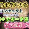 クルーズ船「コンチェルト」の船上から「淡路花火大会」を楽しむプランが販売されてる。お弁当＆フリードリンク付き