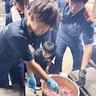 キャンプで防災技術学ぶ