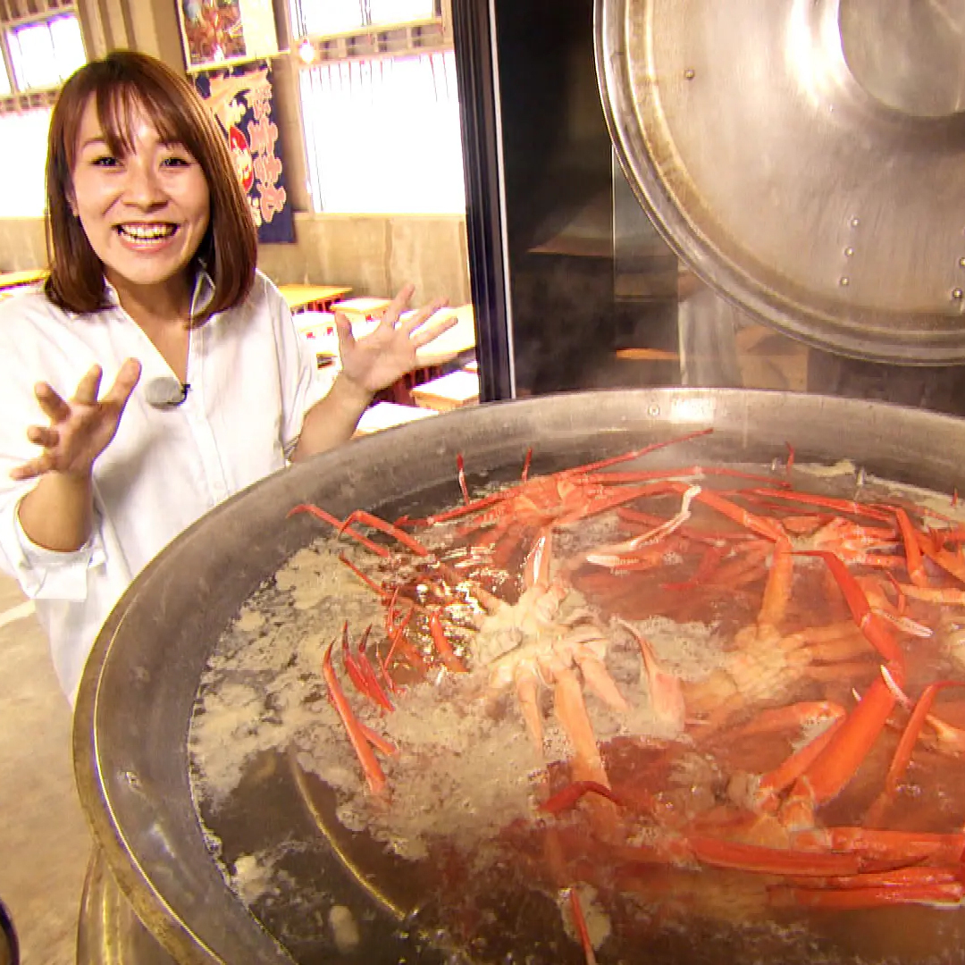 蟹丸 不明|ゼンマイのカニのおもちゃ|HARDOFFオフモール（オフモ