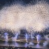 東京近郊の散歩の達人おすすめ花火大会14選。2024年盛夏に必見の花火はこれだ！