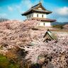 【絶景】「北の小京都」1か月にわたって次々と桜が開花する　日本最北の城下町／北海道・松前町