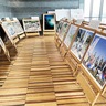 ごみ回収団体が写真展　４年９カ月の軌跡紹介