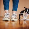 犬が『ひも』を好きになるのはなぜ？4つの理由からトラブルの危険性まで