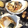 【三陸産の殻付きウニを炭火焼で】「ウニ奉行