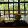 【京都】新名所誕生！青もみじにつつまれた古刹で身も心も整う体験を「閑坐（かんざ）」