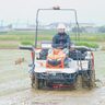 【産学連携】暑さに強いコメ作りに挑戦：岩塚製菓と新潟県農業大学校が共同プロジェクト