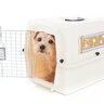 犬がケージから脱走してしまう心理3選　未然に防ぐためにするべき対応とは？