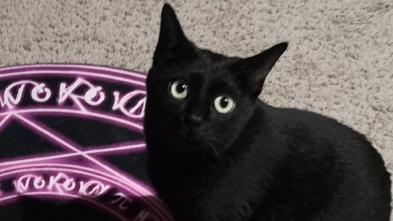 AqrN6ZEr8hvRuGCKSskqoJO1_m3cpg