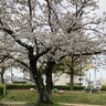 【高坊西公園】小さい子ども向けのタマゴ型遊具　春にはお花見も（北九州市小倉北区）