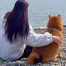 『保護犬との1年間』を振り返ったら…愛にあふれる家族としての思い出が95万再生「大切にされているのがわかる」「涙が止まらない」」と感動