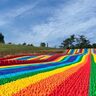 【滋賀・高島】「びわこ箱館山」にフォトジェニックな新アクティビティ「虹色スライダー」が出現！