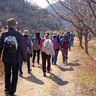 観光ボラ養成講座を募集　ガイドや歴史好きな人