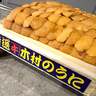 藤あや子、築地から取り寄せた最高級の品を公開「これ絶対リピ案件です」