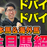 【ドバイWC・ドバイSC】フォーエバーヤングを負かす馬はいるのか！？　日本馬と海外馬の注目馬を紹介【動画あり】
