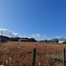 [噂]日出にトライアルができるかも