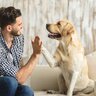 『犬が大好きな人』にみられる共通点7選　具体的な性格の特徴やライフスタイルまで