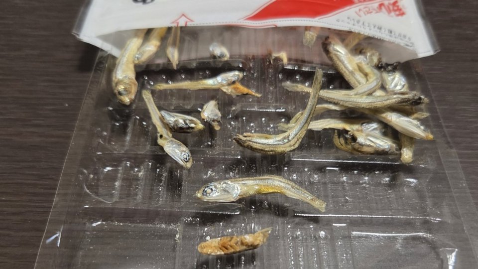 煮干しの中に紛れてた〝エイリアン〟に4.9万人注目「鳥肌が止まらん