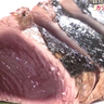 【ととや新兵衛】カツオのレアステーキ!?サクのカツオを自分好みに焼いて堪能！全国から食材を集めた海鮮BBQも人気／焼津市