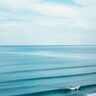 米アスリート発・海を守るムーブメント　「Protect