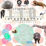 2025年1月1日は無料開園！