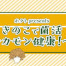 きのこのうま味成分を上手に利用して塩分濃いめの食生活から抜け出そう！