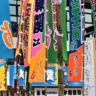 横綱になると年収は数千万円！大関/関脇/小結など力士の地位別の年収はどのくらい違うのか？【職業と給料の話】