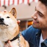 愛犬をお祭りに連れて行ってはいけない？5つの理由や迷子や事故などの注意点をご紹介