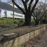 役目を終えたホームは残りトンネルは遊歩道とワインカーヴとなった。【山梨県甲州市の大日影トンネル前編】