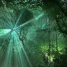 ［京都府立植物園］で幻想的なアートナイトイベント