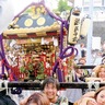 神輿担いで｢わっしょい｣　武の八坂神社で夏祭り
