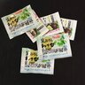 いつも捨ててた！お刺身についてる「わさび」の意外な活用法「今の季節に使える」「さっそくやってみる」