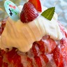 地元で愛される洋菓子店が作る、まるでケーキのようなかき氷！【Patisserie