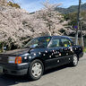 勝山タクシーが春のお楽しみ企画「春のペタペタタクシー2024」と「お花見タクシー2024」を発表