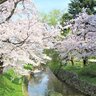 【ライトアップあり🌸】水面に映る美しい桜で春を満喫♪五泉市「粟島公園」【新潟県の桜名所・お花見スポット特集2025】