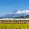 JR旅客6社がお盆期間の指定席予約状況を発表　東海道・山陽新幹線の「のぞみ」号は全席指定で運行