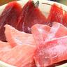 【焼津・まぐろ食堂】本マグロとミナミマグロどっち派?