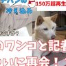 再生回数154万回超！あの〝バズリ犬〟と記者が再会！多彩な芸を披露！記者もデレデレ