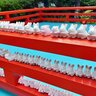 【京都ツウ】うさぎ神社境内にある梅雨只中こそ訪れたい『雨社』☆茅の輪も登場「岡崎神社」