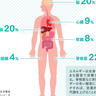 ダイエット目的で食事制限をしてもなかなか痩せない人こそ体幹を鍛えるべき理由とは！？【プロトレーナーが本気で教える