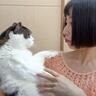 髪の毛を短くして帰ってきたら、猫が……『文句が止まらない光景』が笑えると13万再生「めちゃくちゃ言ってるｗ」「必死の顔がかわいいｗ」