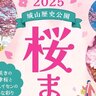 【2/22・23】山口県上関町で「2025年城山歴史公園桜まつり」開催！早咲きの河津桜と黄色水仙の鮮やかな色彩を楽しんで