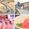【清水区・河岸の市】魚市場で年末年始の準備!