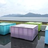 ​【下瀬美術館（広島県）の企画展「INSECTS×SIMOSE―昆虫アートの現在地」】「世界で最も美しい美術館」で光る静岡の昆虫アート