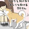 声をかけても失敗！カメラを前にそっぽを向きがちな柴犬タロさんと桜風景