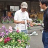 神奈川土木事務所　愛護会に花苗支給　区制100年ＰＲの装飾も