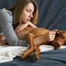 犬が飼い主にみせる『SOSのサイン』5選　見逃してはいけない危険な行動とは？